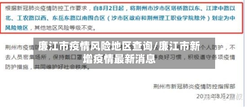廉江市疫情风险地区查询/廉江市新增疫情最新消息-第2张图片