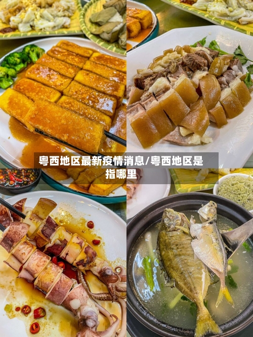 粤西地区最新疫情消息/粤西地区是指哪里-第2张图片
